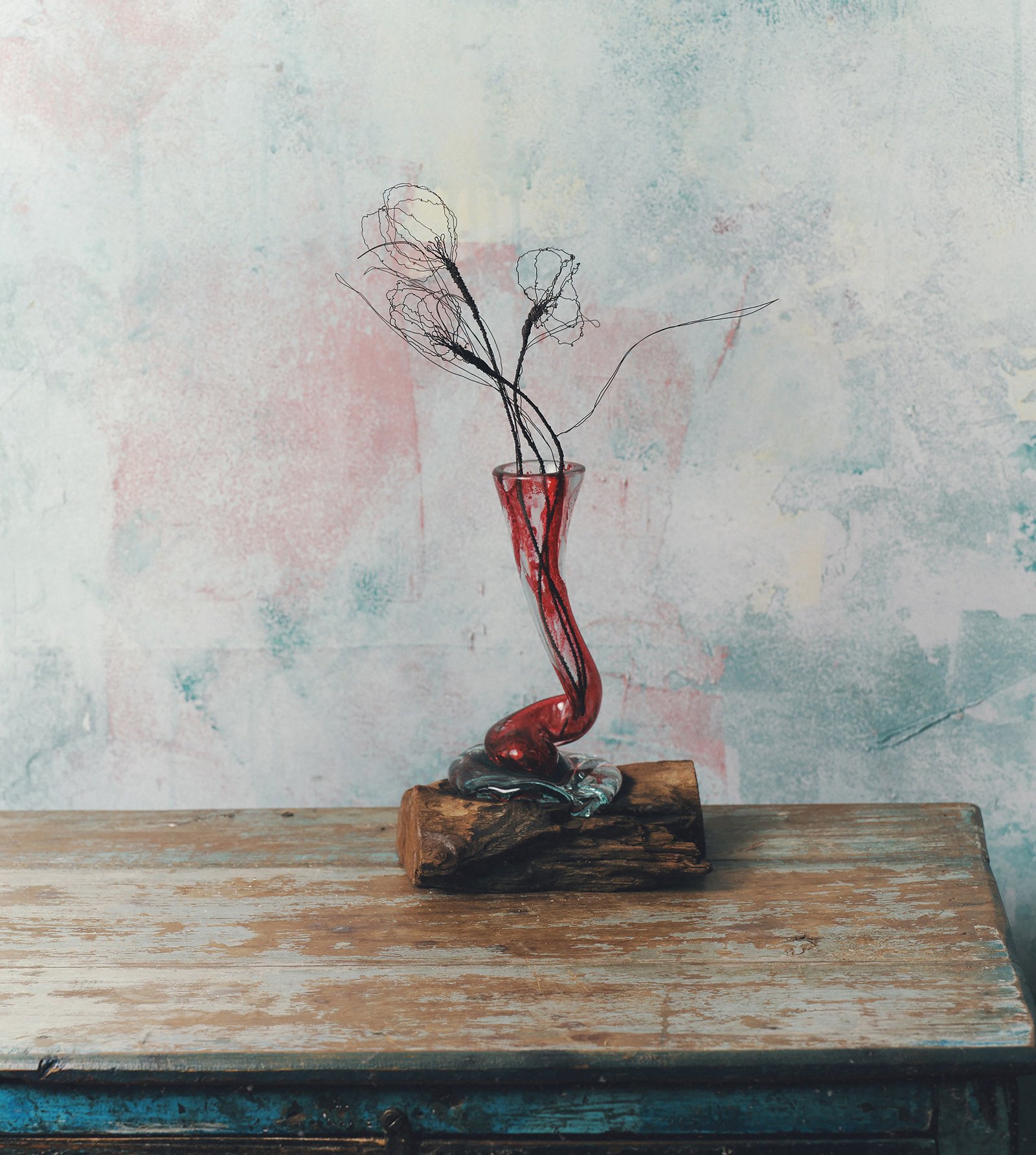 The Colour of Tulips — Botanical Cycle No. 7